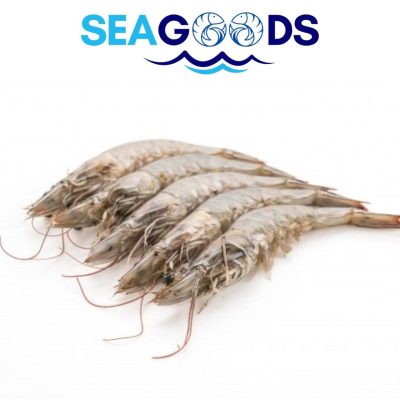 Crevettes Grises 40/50