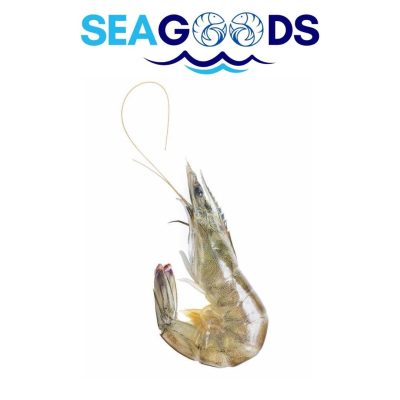 Crevettes Grises 60/70