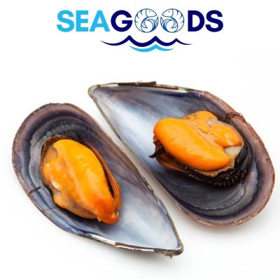 Moules Demi-Coquille 80/100