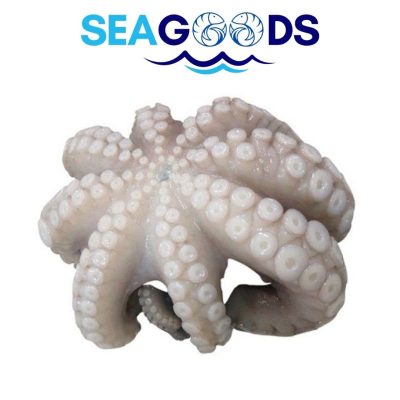 Poulpe Battu en Fleur