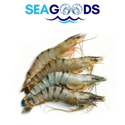 Crevettes Tigrées 16/20